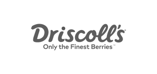 Discroll's logo
